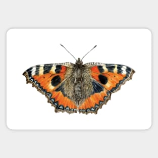 Small Tortoiseshell Butterfly Magnet